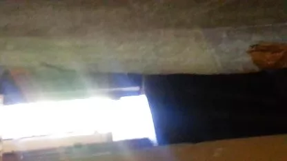 Nakal bokep intip pacaran co ed gore, porno, ૦